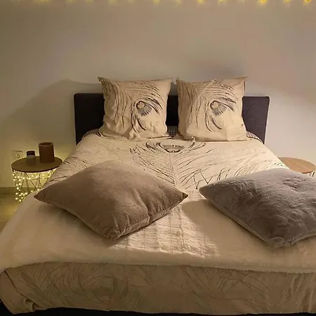Appartement Des Oliviers Avec Piscine *