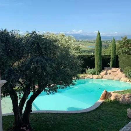 Des Oliviers Avec Piscine *