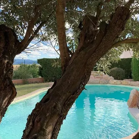 Des Oliviers Avec Piscine * Chassagny